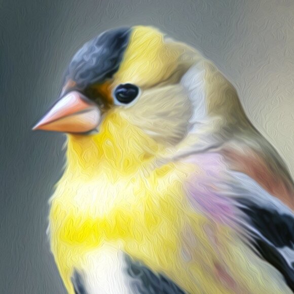 American Goldfinch Yellow Bird Watercolor Oil Painting Wall Art Print‎ - Picture 5 of 6